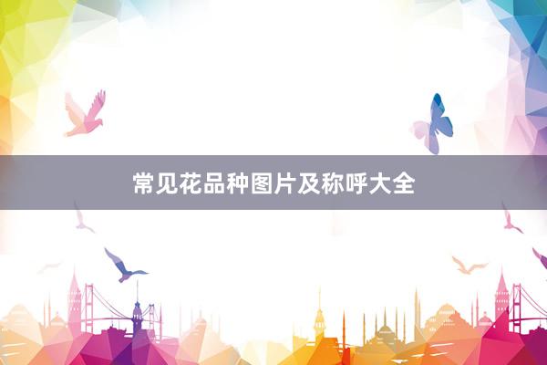 常见花品种图片及称呼大全